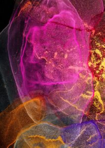 Quadro Abstrato ABS (205)