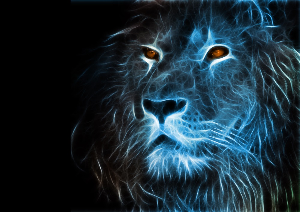 Quadro de Animais ANMS (10)