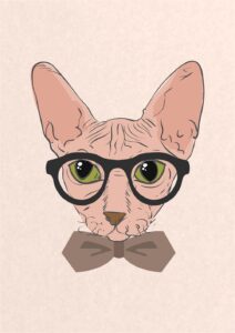 Quadro de Animais ANMS (101)