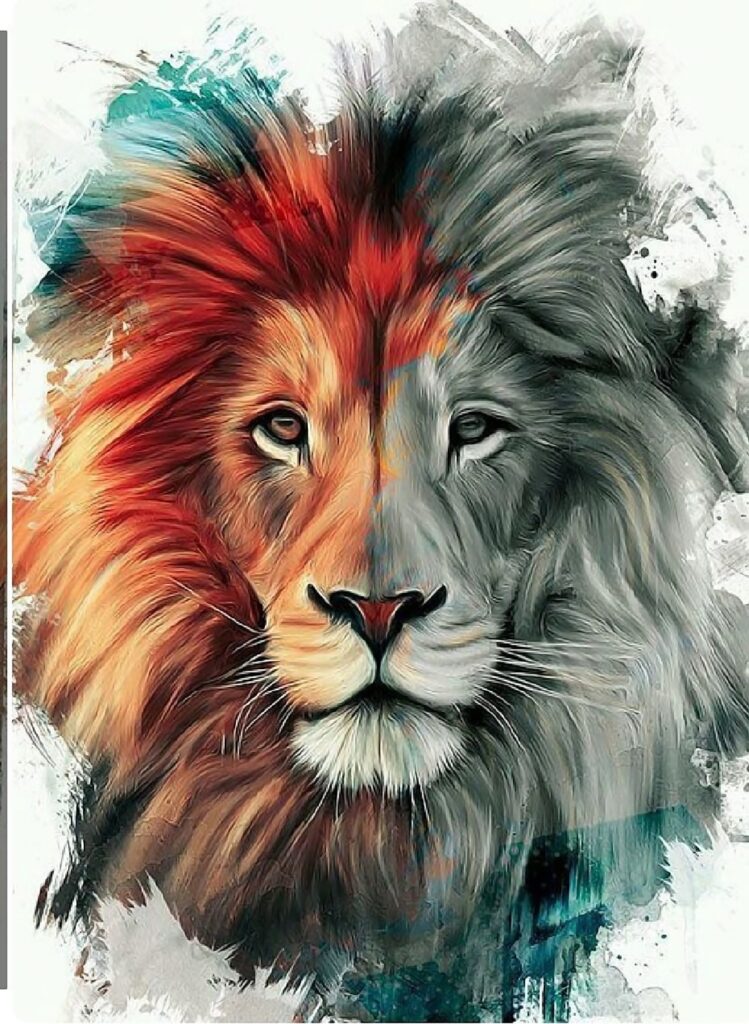 Quadro de Animais ANMS (104)