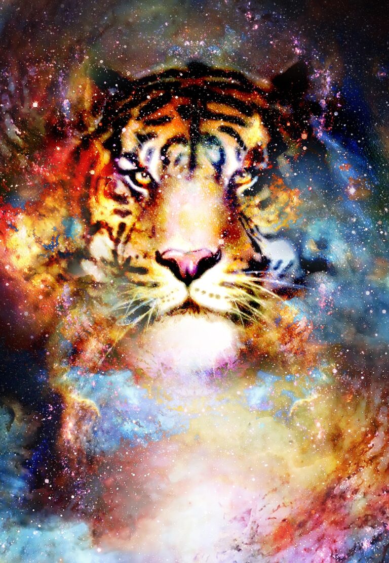 Quadro de Animais ANMS (130) - Art Frame