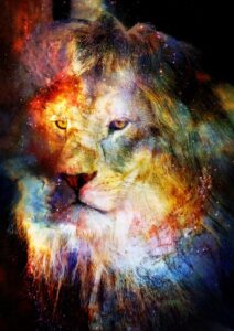 Quadro de Animais ANMS (131)
