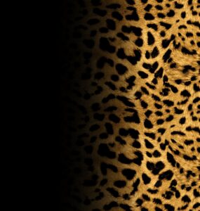 Quadro de Animais ANMS (3)