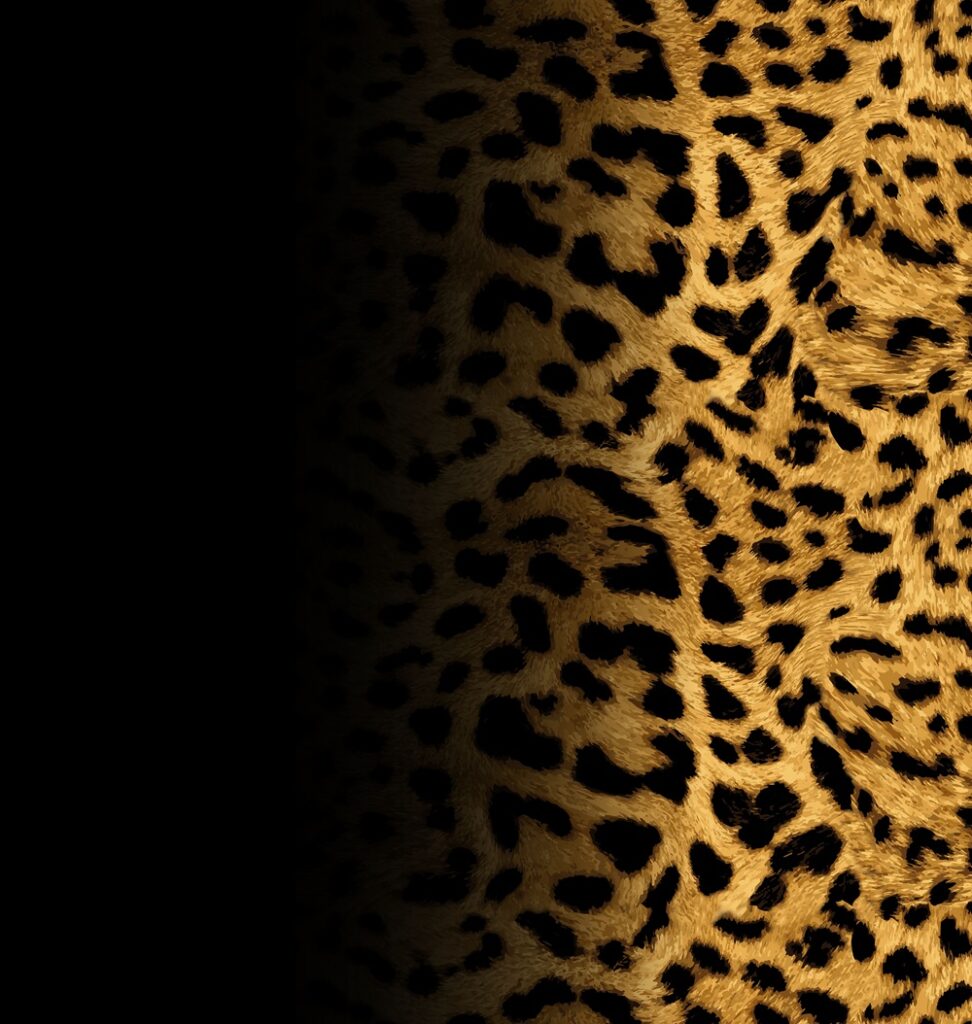 Quadro de Animais ANMS (3)