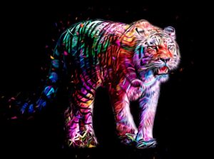 Quadro de Animais ANMS (4)