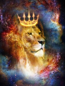 Quadro de Animais ANMS (5)