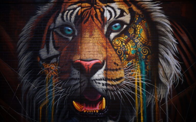 Quadro de Animais ANMS (69) - Art Frame