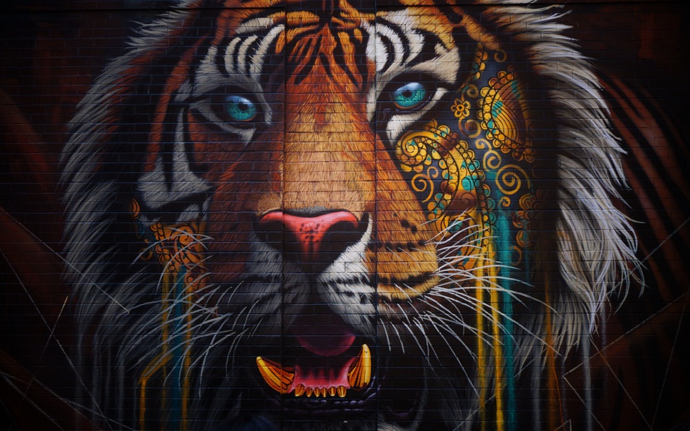Quadro de Animais ANMS (69)