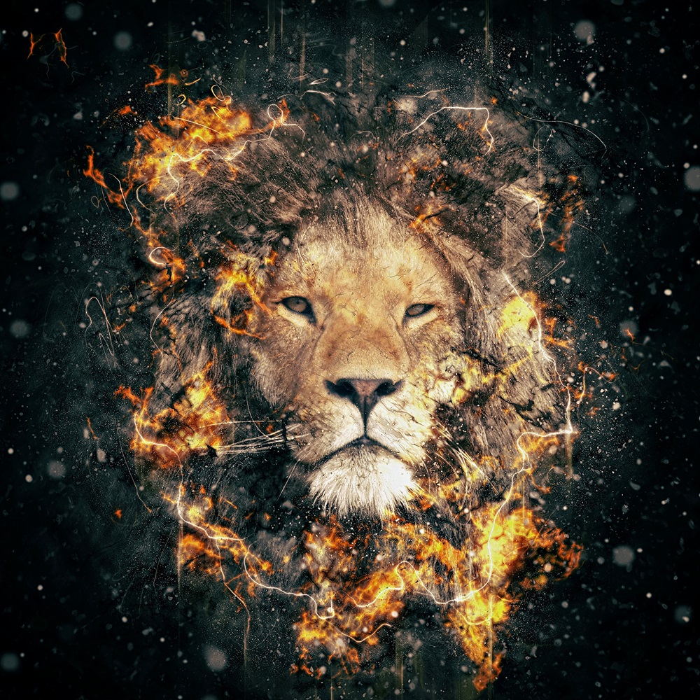 Quadro de Animais ANMS (7)
