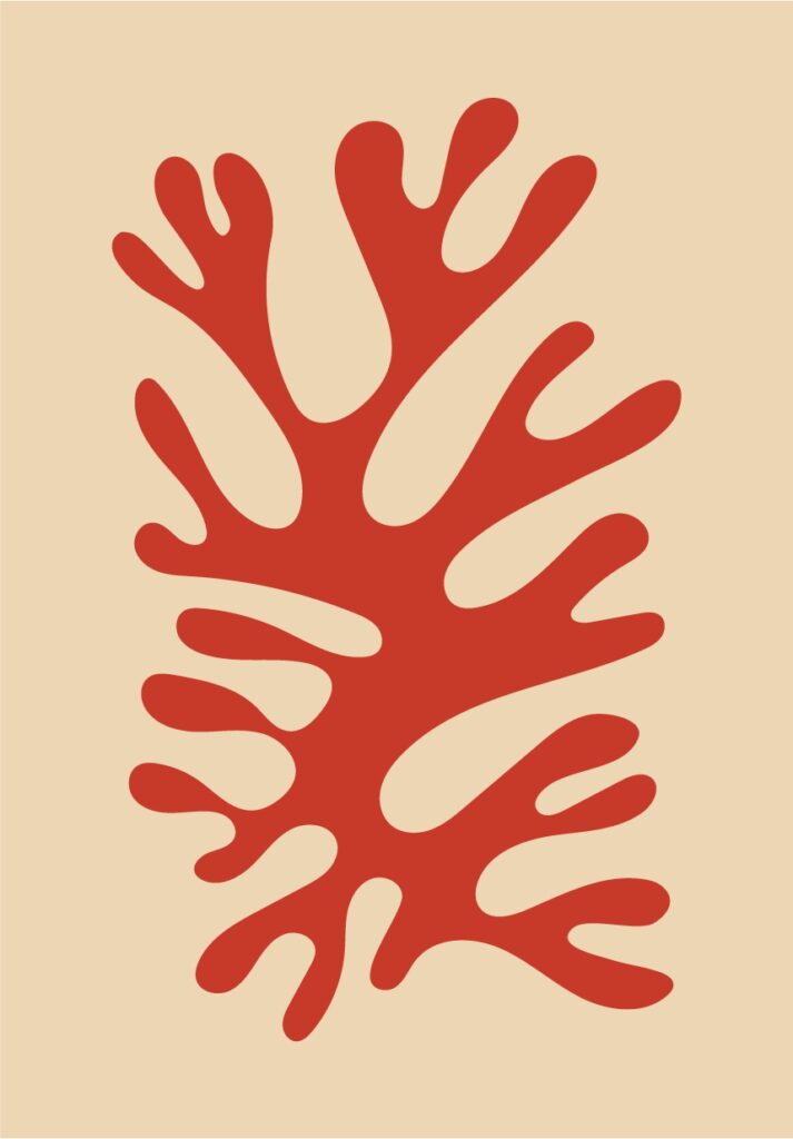 Quadro Matisse HM (18)