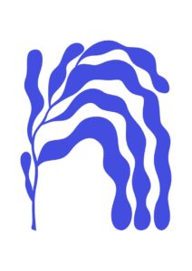 Quadro Matisse HM (26)