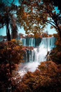 Quadro de Natureza NAT (43)